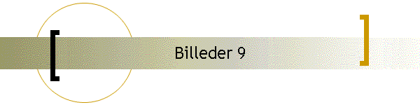 Billeder 9